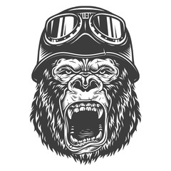 Wall Mural - head of gorilla