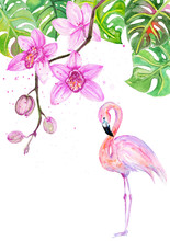 Watercolor.big Pink Flamingo And Orchid Flowers.