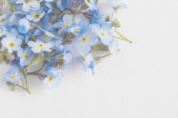 Wall Mural - Flowers forget-me-not close-up, top view, flat lay. natural floral background, macro photo.