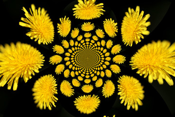 abstract decoration with yellow flowers