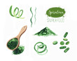 Hand drawn spirulina seaweed powder. Isolated Spirulina algae, pills, capsules and powder drawing on white background. Superfood artistic style illustration. Organic healthy food sketch