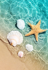 Wall Mural - starfish and seashell on the summer beach in sea water.