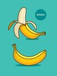 Two bananas illustration. Banana icon.