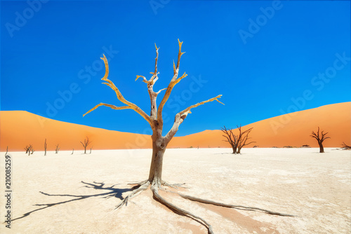 dead-vlei-w-parku-narodowym-naukluft-w-namibii-wykonane-w-styczniu-2018-r