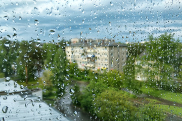 Wall Mural - drops of summer rain on the glass