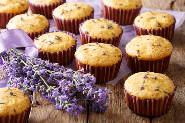 Wall Mural - Beautiful background of French muffins with lavender flowers close-up. horizontal