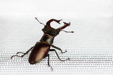 Bug's search in programm code. Testing software, quality assurance.