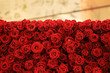 Flower wall, natural red roses background with blurred space on top.