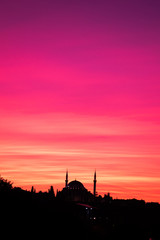 Wall Mural - Ottoman style mosque in Istanbul