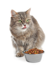 Canvas Print - Cute cat and bowl with food on white background