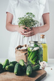 Fototapeta Mapy - cropped image of woman preparing preserved cucumbers and holding dill at kitchen