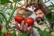© ivanko80 - Family in tomato plant at hothouse