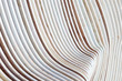 Artistic  Closeup on repeat parallel pattern of wood strips with beautiful curve pattern with light.