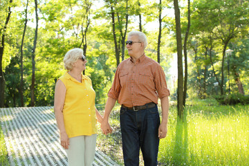 Wall Mural - Happy mature couple walking in city park