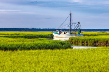 Shrimp Boat in Marsh