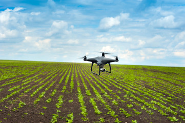 Wall Mural - aerospace of agrarian fields by a quadrocopter