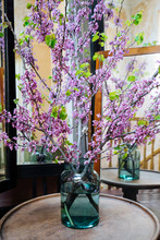 Cut Branches Of Blooming Tree In Jar