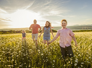 Wall Mural - Happy family having fun on daisy field at sunset