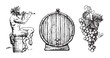 Hand drawn elements for wine design. Satyr, barrel, bunch of grapes. Vector.