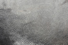 Surface Of Elephant Leather Skin Background.