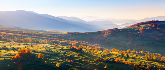 extraordinary autumn landscape. green fields with haystacks. trees covered with orange and crimson l