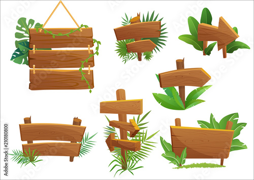Cuadros en Lienzo Jungle rainforest wood sign with tropical leaves with space for text