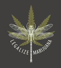 Vector Banner For Legalize Marijuana With Cannabis Leaf And Dragonfly. Natural Product Of Organic Hemp. Smoke Weed. Medical Cannabis Logo On Black Background