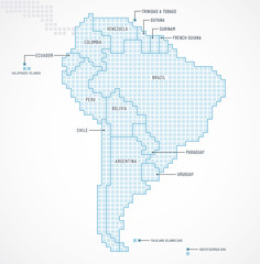 Wall Mural - South America continent with separated states