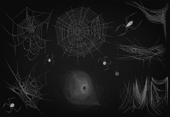 cobweb set isolated on black transparent alpha background. spiderweb for halloween design. high qual
