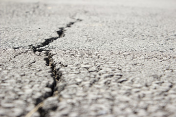 Left sided, close detail of a pavement crack in a park. Picture taken at surface level.