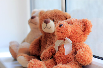 Three bears toys sitting on window sill. Focus on foreground toy.