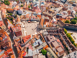 Wall Mural - Amazing aerial view of the Tallinn old town with many old houses sea and castle on the horizon.