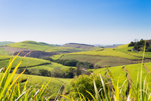 A View Of The Valley Of A Thousand Hills Near Durban, South Africa