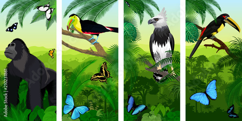 Fotografie, Obraz Vector Jungle rainforest vertical baner with male gorilla, pale-mandibled aracar