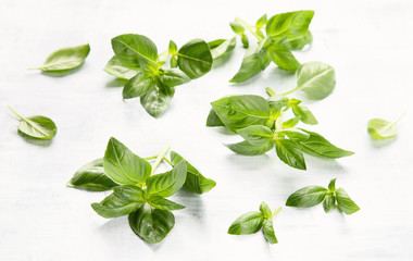 Fresh basil