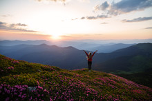 Hiker Woman Standing With Hands Up Achieving The Top. Girl Welcomes A Sun. Successful Woman Hiker Open Arms On Sunrise Mountain Top. Magic Pink Rhododendron Flowers On Summer Mountains