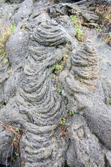 cognoli di Ottaviano, solidified lava in the shape of a rope in Vesuvius Nati