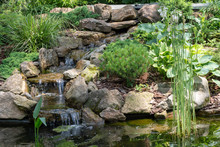 Garden Waterfall. Garden Pond With Water Flowers. Beautiful Pond In A Backyard Surrounded With Stone During.