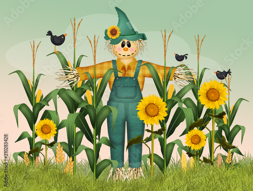 Fotomural scarecrow in the field of panicles
