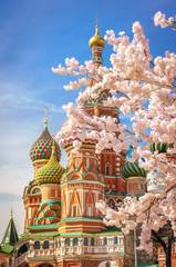 Wall Mural - beautiful view of St. Basil's Cathedral. The bloom of Sakura in Moscow. spring season. Russia, the Kremlin Moscow spring