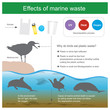 Effect of marine waste. Cause of marine animal death is caused by eating waste that dose not follow the degradation process and cause of Albatross bird death