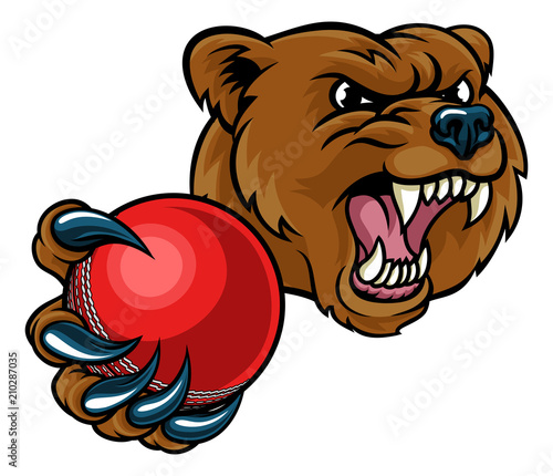 Bear Holding Cricket Ball