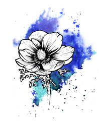 Wall Mural - A bright blue formless watercolor blot. Ink poppy flower line graphic sketch