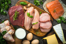 Animal Protein Sources- Meat, Fish, Cheese And Milk.