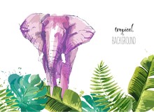 Background With Tropical Leaves And Elephant. Suitable For Nature Concept, Safari, Zoo And Summer Holiday. Vector Illustration.