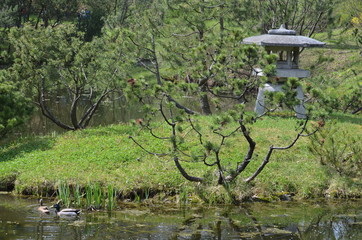 Sticker - japan garden landscape stone