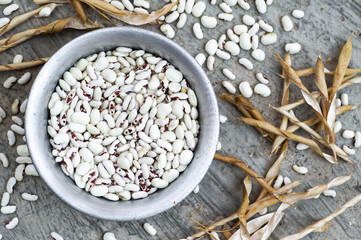 Wall Mural - White kidney beans with red spots pours out of metal plate on a gray background. Beans are scattered, dry beans pods. Crop