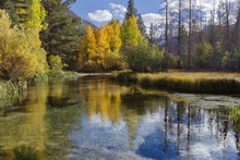 Fall Colors In The Eastern Sierra Nevada.