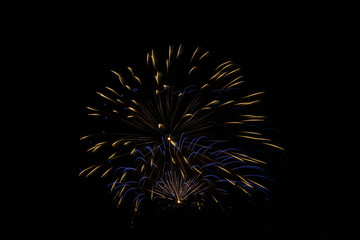 two fireworks exploding at once with blue and yellow.
