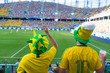 Fans of the Brazilian national team admire the beautiful and interesting match.